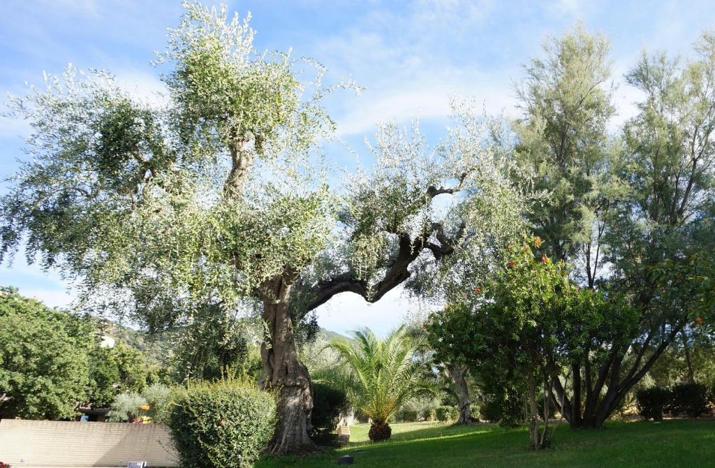Oasimaremma Village 스카를리노 외부 사진